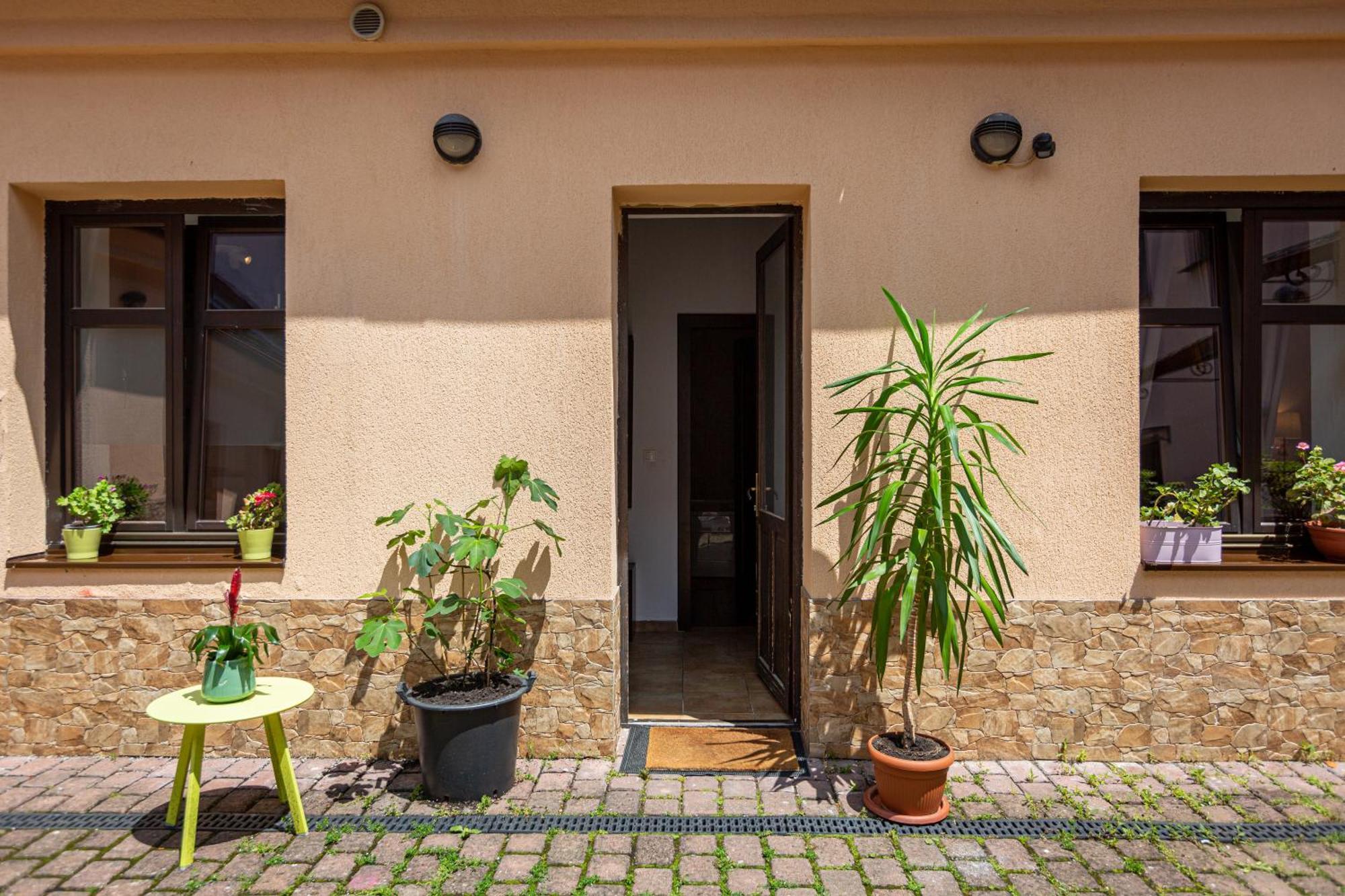 Dream Guesthouse Брашов Экстерьер фото